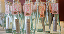 Donations to Quebec Breast Cancer by Mrs. Flamingo